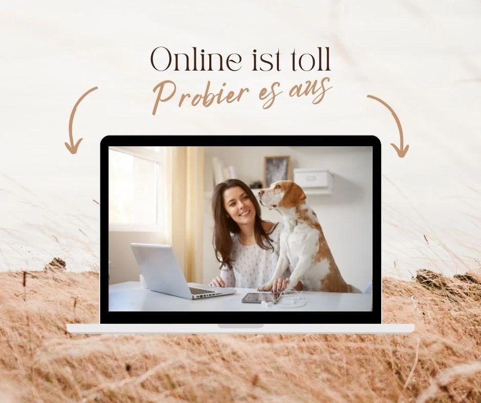 Online Hundetraining von zuhause
