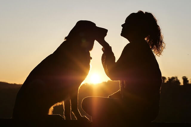 Einzeltraining in Bad Bevensen Landkreis Uelzen, Hund ist aggressiv, kann nicht Alleine bleiben , bellt viel, Tierschutzhunde