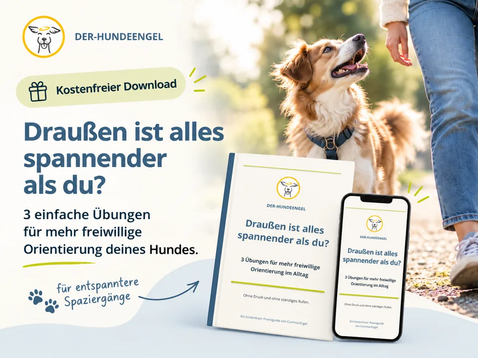 Kostenfreier Download für entspannte Spaziergänge Entspannt Spazieren gehen