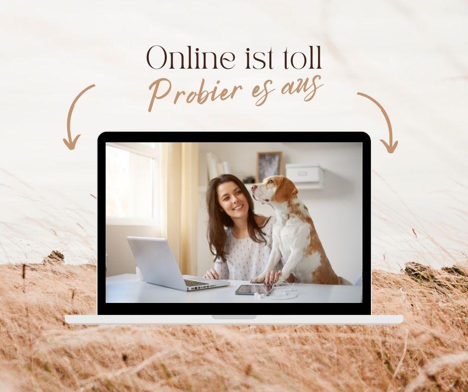 Persönliches Online-Hundetraining per Zoom