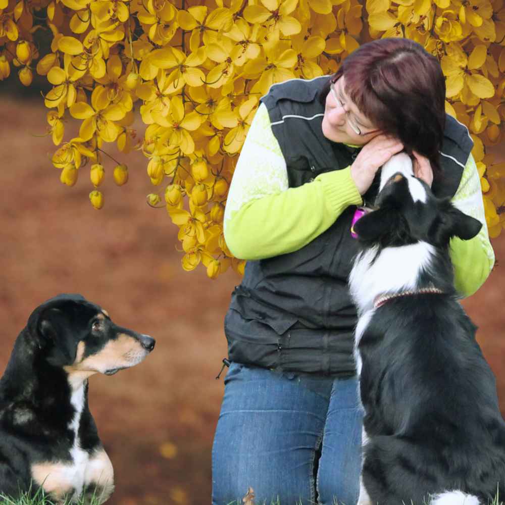 Hundetraining durch Vertrauen und Respekt