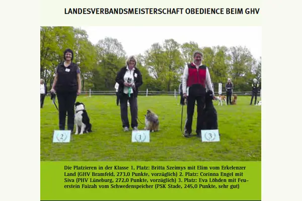 Hundesport in Bad Bevensen